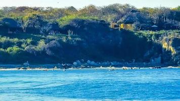 ytterst enorm stor surfare vågor strand la punta zicatela Mexiko. foto