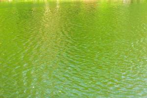 krusningar på ytan av grönt vatten foto