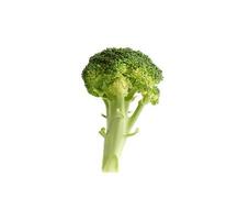 färsk grön broccoli kål isolerat på vit bakgrund foto