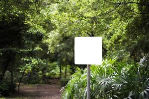 vit blank skylt i parken med naturbakgrund foto