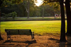 bänk i parken foto