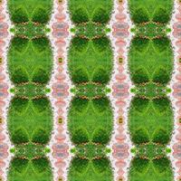 abstrakt symmetriskt grönt mönster foto