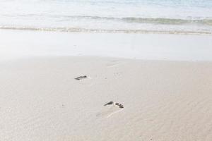 fotavtryck i sanden på stranden foto