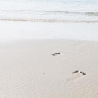 fotavtryck i sanden på stranden