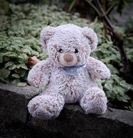 liten teddy Björn Sammanträde på de sida av de väg under de dag foto