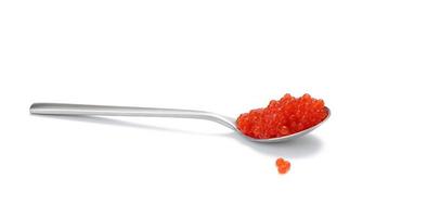 färsk grained röd kamrat lax kaviar i metallisk sked, vit bakgrund foto