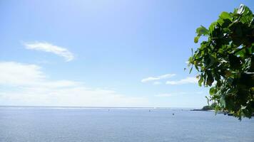 turkos vatten, vit vågor, blå himmel, grön träd, vit sand, skön stranden och skön ö, sayang heulang garut, panorama- se foto