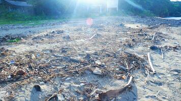 smutsig kustlinje massor av skräp och träd grenar, sand strand, båt, solljus foto
