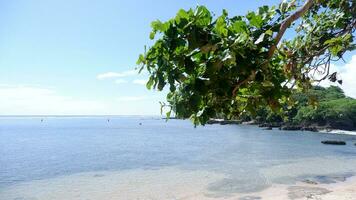 turkos vatten, vit vågor, blå himmel, grön träd, vit sand, skön stranden och skön ö, sayang heulang garut, panorama- se foto