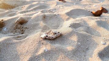 full ram skott. stänga upp sand textur på strand i sommar. natur av sand på de strand. vit strand sand av textur foto