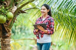 porträtt av Lycklig asiatisk ung jordbrukare kvinna kolla upp kvalitet av kokos i bruka och använder sig av läsplatta dator till ta order uppkopplad för kunder. jordbruks och teknologi begrepp. foto