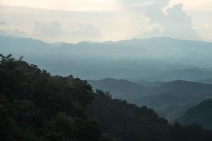 dimma täckt skog i Thailand foto