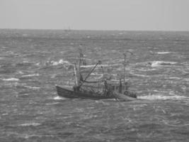 de strand av norderney foto