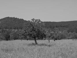 ön ibiza i spanien foto