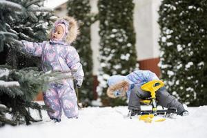 barn spela utomhus i snö. två liten systrar njut av en släde rida. barn pulka. litet barn unge ridning en släde. barn kälke i vinter. foto