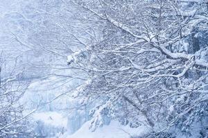 tung snö på de flod i heike Nej sato by i tochigi prefektur, nikko stad, japan foto