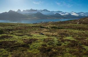 de skön landskap se av bergen räckvidd i stodvarfjordur stad av öst fjord av island. foto