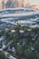 stänga upp värmeljus ljus på snöade gran gren och grön växter begrepp Foto