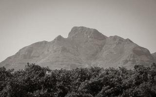 berg, tablemountain nationalpark, Kapstaden, Sydafrika. foto