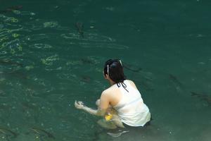 kinesisk eller asiatisk kvinnor i bikini tar selfies bland de grön och skön naturlig vattenfall. med skolor av fisk simning bredvid den som ekoturism - kanchanaburi, thailand - 6 - 10 - 2015 foto