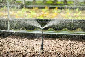 små sprinkler vattning systemet i vegetabiliska tomter foto