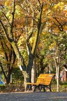 bänk i parken i tokyo, japan