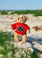 brun teddy Björn i en röd Tröja står på de sandig havsstrand och utseende in i de distans foto