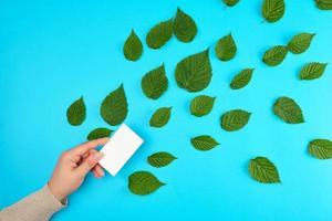 kvinna hand innehav vit tömma papper företag kort och färsk grön löv foto