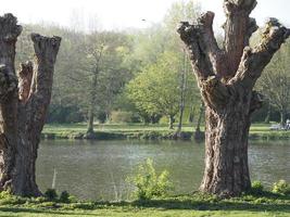 sjö i de tysk munsterland foto