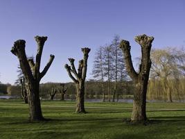 sjö i de tysk munsterland foto