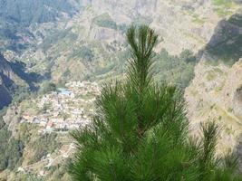 ön madeira foto