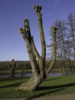 sjö i de tysk munsterland foto