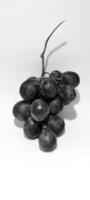 porträtt av anggur frukt foto