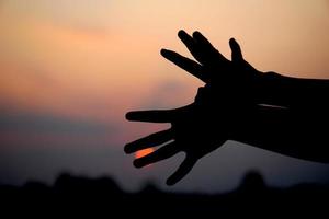 mänsklig hand silhuett av flygande fågel solnedgång bakgrund foto