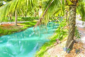 kokos gårdar och skön turkos vattnen i sydlig thailand. foto