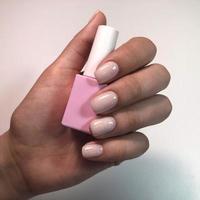manikyr. skön välskött kvinnas händer med rosa nagel putsa. flaska av nagel putsa. foto