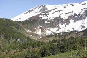 snöig berg på Maj i juneau foto