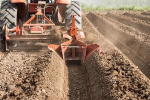 traktor förberedelse jord arbetssätt i fält lantbruk. foto
