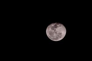 måne på de natt himmel foto