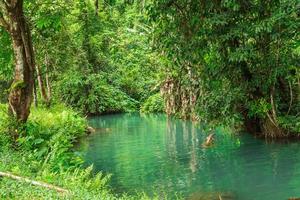 blå lagun, vang vieng, laos foto