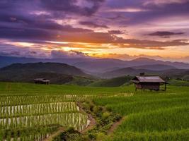 solnedgång och grön terrasserad ris fält i pa pong pieng , mae chaem, chiang maj, thailand. foto