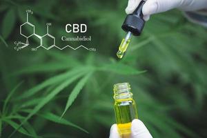 cannabis med formeln cbd cannabidiol. hampaolja, cbd-olja cannabisextrakt, medicinsk cannabiskoncept, foto