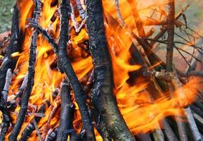 brinnande trä i brand, närbild naturlig bakgrund foto