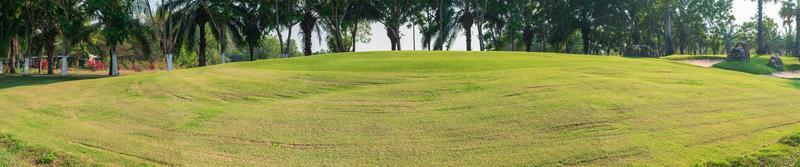 panorama grön gräs på golf fält foto