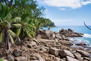 mahe Seychellerna kokos handflatan träd och fantastisk sten stenblock nära de Strand foto