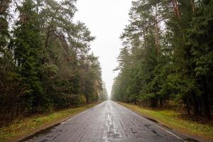 asfalterad väg i de mitten av de skog foto