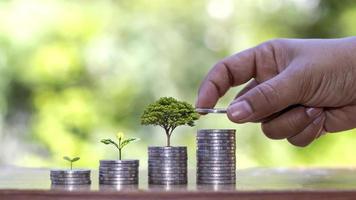 framgångsrik idé för tillväxt av pengar, ett träd som växer på en hög med silvermynt och en hand som håller mynt