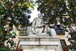 staty av ensam kanot i torg ensam kanot i granada, Spanien. foto