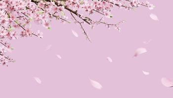 3d tolkning skön vår, körsbär blomma bakgrund med rosa bakgrund foto