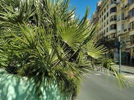 charmig spanien, de stad av Valencia, en se av ett av de gator foto